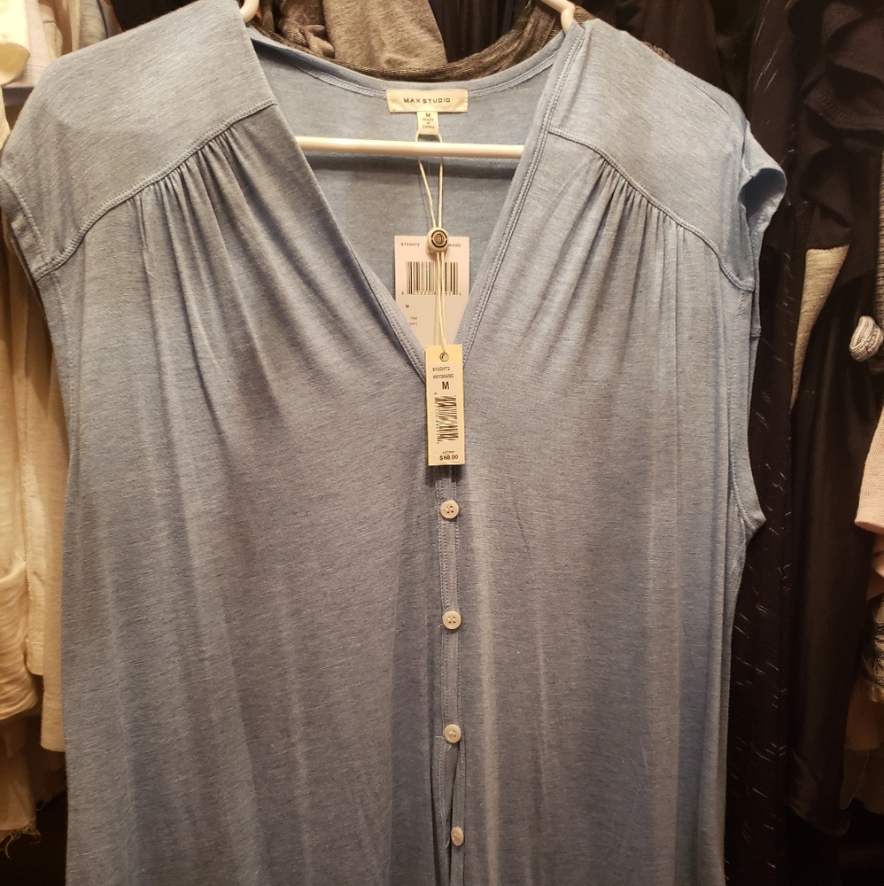 Max Studio light blue top